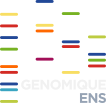 Fichier:Logo-petit genomiqueENS.png