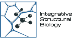 Logo ISB.png