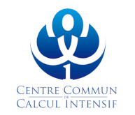 Logo C3I.jpg