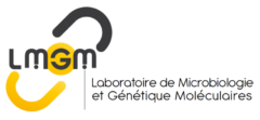 Cropped-lmgm-logo-2.png