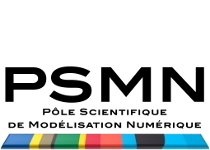 Logo PSMN.jpg