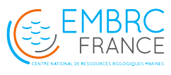 Fichier:LogoEMBRC France.png
