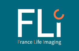 Fichier:Logo FLI.png
