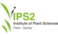 Logo-ips2.jpg