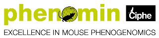 Fichier:Logo Phenomin CIPHE 2.png