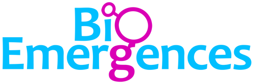 Fichier:BioEmergences.png