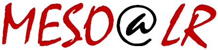 Fichier:Logo MesoLR.jpeg