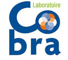 Fichier:Logo COBRA.jpg