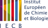 Fichier:Logo IECB.png