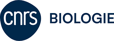 Fichier:Logo biologie.png