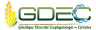 Fichier:Logo-GDEC.png