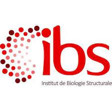 Fichier:Logo IBS.jpg