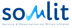 Logo-SOMLIT-2018-transparent.png