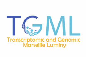 Logo-tgml-302x200.png