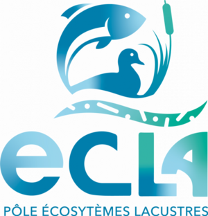 Logo ECLA.png