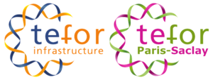 Logo TEFOR-TPS Saclay fond blanc.png