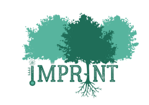 IMPRINT-logo-transparent-768x543.png