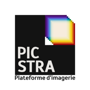 Logo PIC-STRA.png