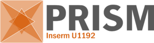 Logo PRISM Orange-TC22052023.png