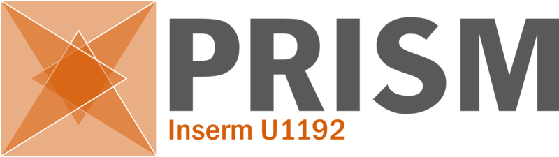 Fichier:Logo PRISM Orange-TC22052023.png