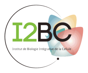 Logo i2bc.png