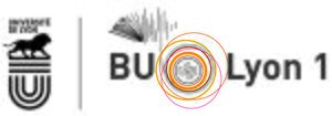 BU Lyon 1.jpeg
