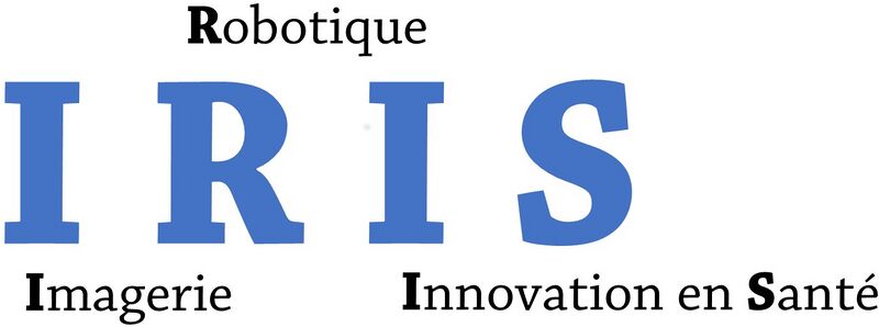 Fichier:Logo IRIS v2.jpg