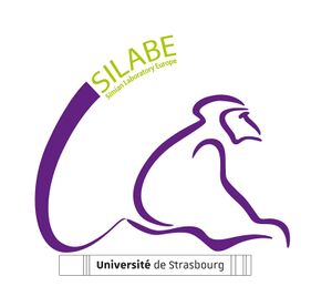 Logo SILABE 2020.jpg