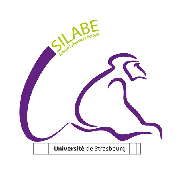 Fichier:Logo SILABE 2020.jpg
