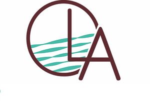 OLA-vagues bleues-sur-fond-blanc-FR.jpg