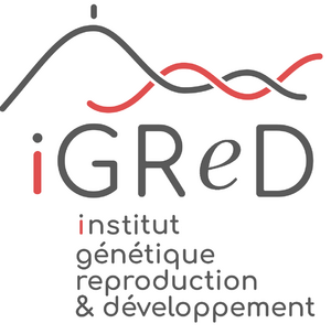IGreD.png
