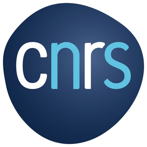 Fichier:LOGO CNRS 2019 CMJN.jpg