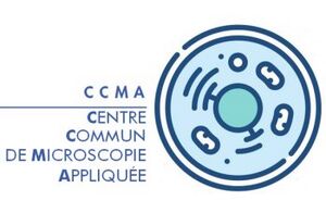Logo-CCMA.jpg