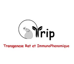Logo trip.jpg