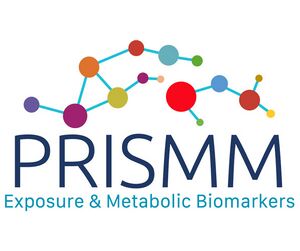 Prismm-logo.jpg