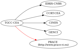 TGCC CEA digraph QueryResult dot.png