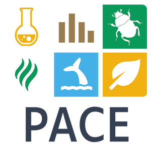 Logo PACE vertical.png